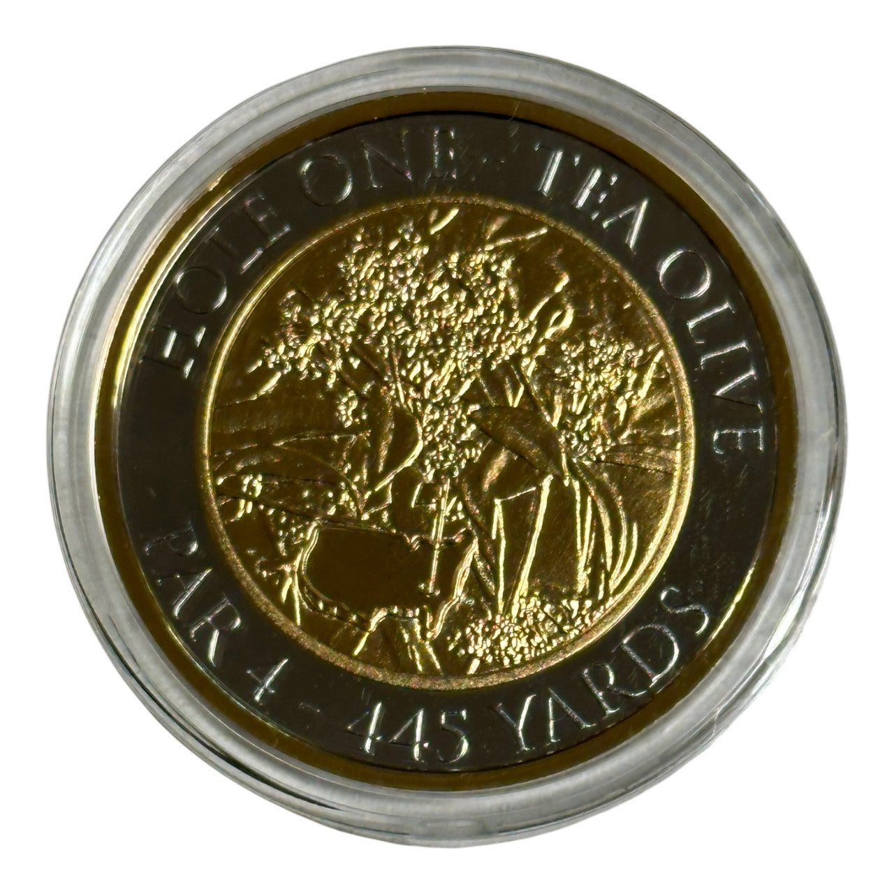 2024 Masters Tournament Collectors Coin - Limited quantity