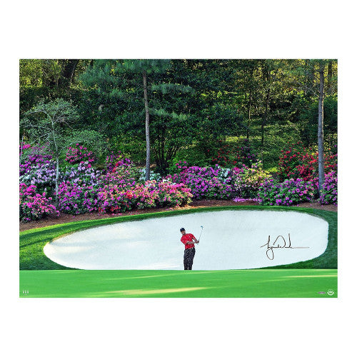 Authentic Tiger Woods Autographed Masters 30x40 Photo - Azalea Image